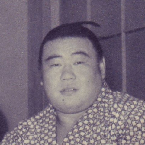 富士錦