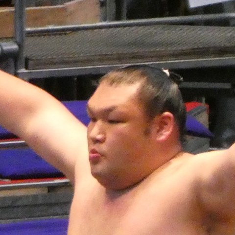 大成龍