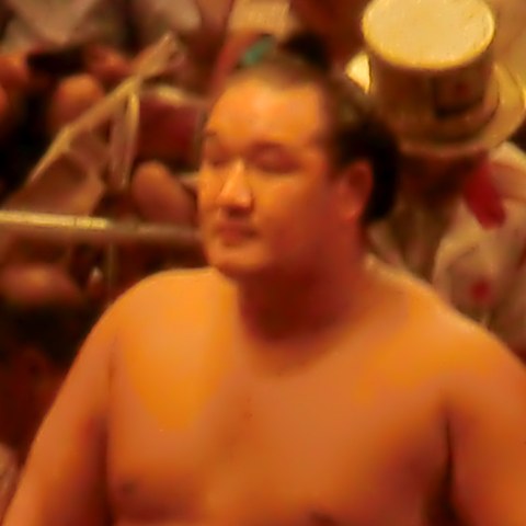猛虎浪
