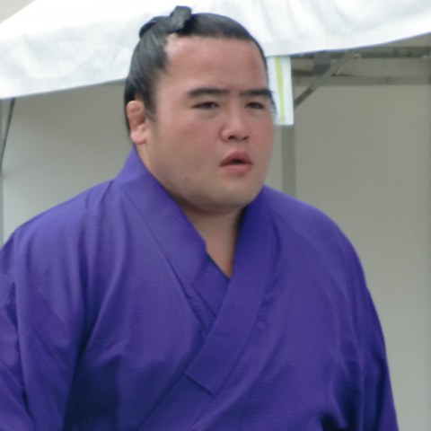 琉鵬