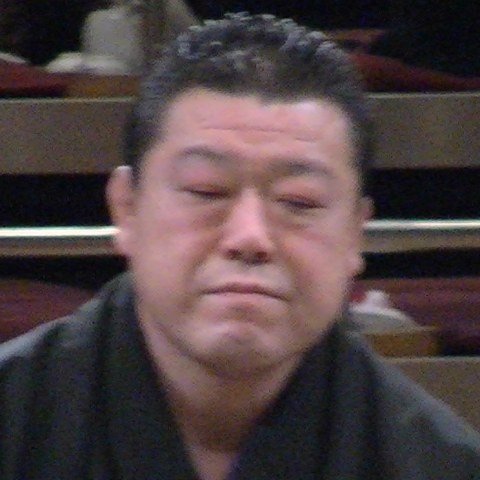 智乃花