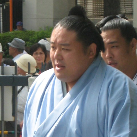 春日錦