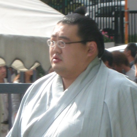 霜鳳