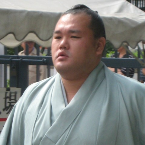 豊桜