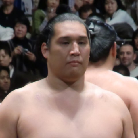 豊真将