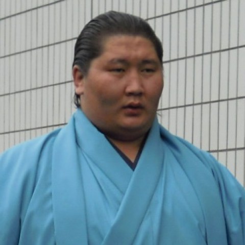 逸ノ城