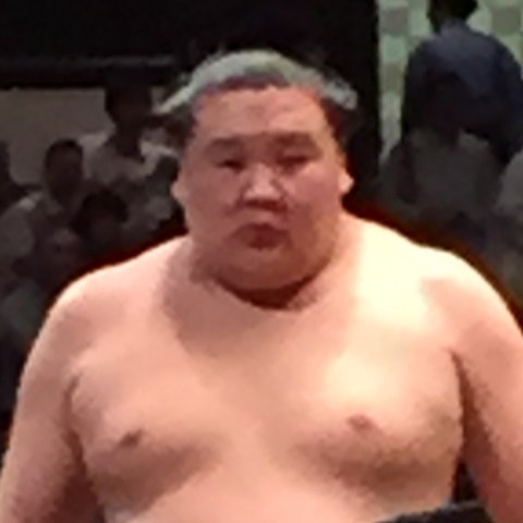 鏡桜