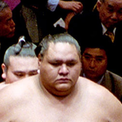 兎富士